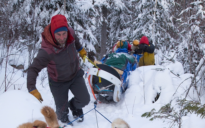 boundary waters dog sledding for adults